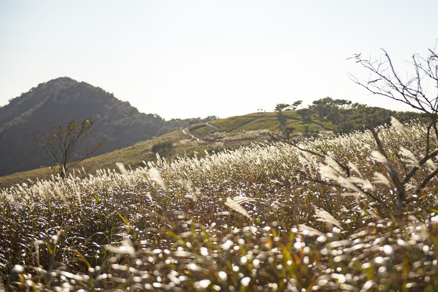 부산가을물결패키지&40;16& 41; 승학산_공공누리